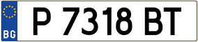 Truck License Plate